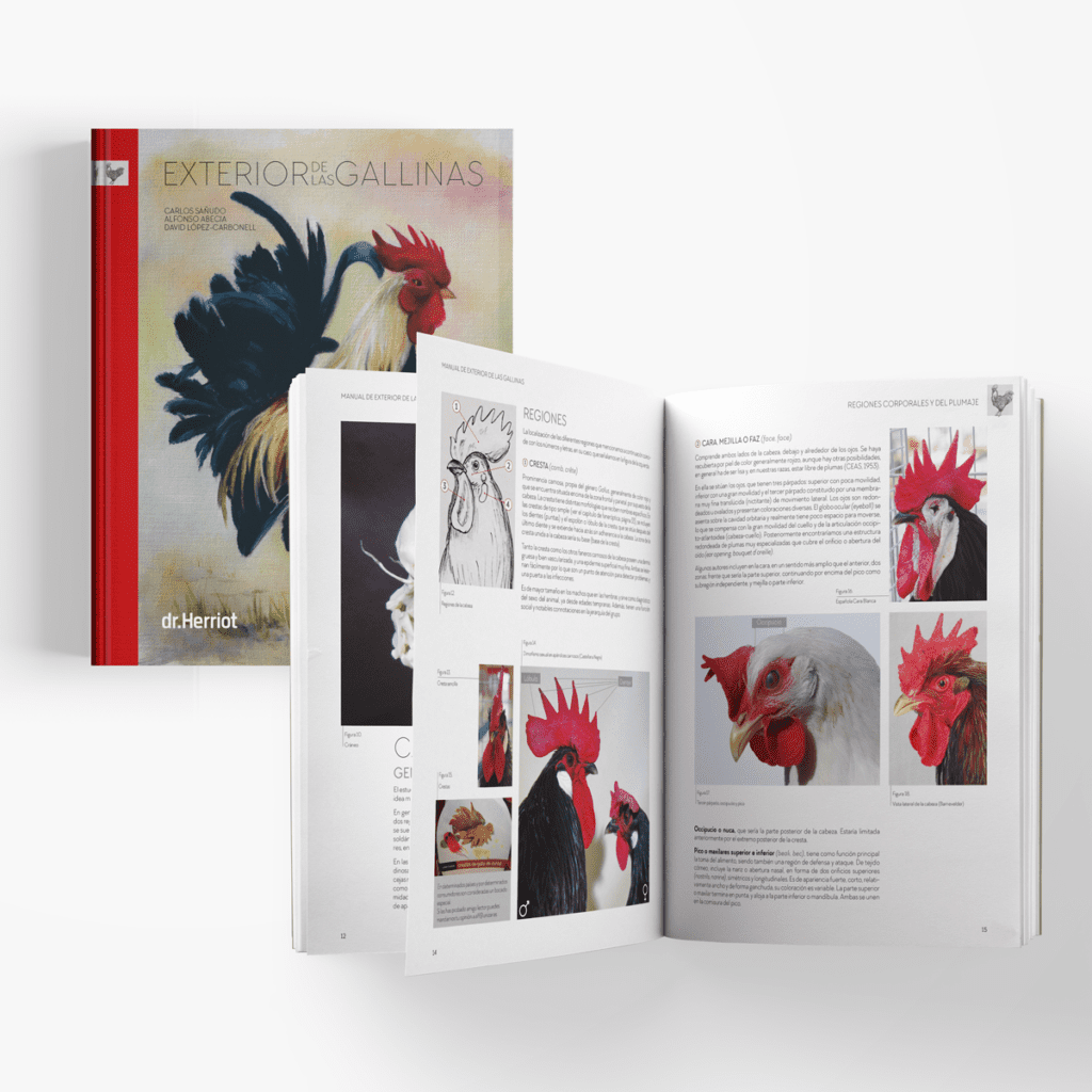 Libro de gallinas ornamentales y manual de avicultura